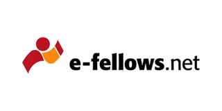e-fellows.net